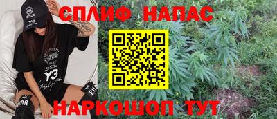 индика Краснознаменск