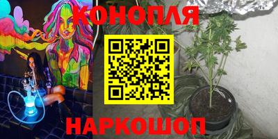 индика Краснознаменск
