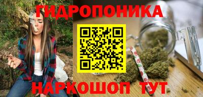 индика Краснознаменск