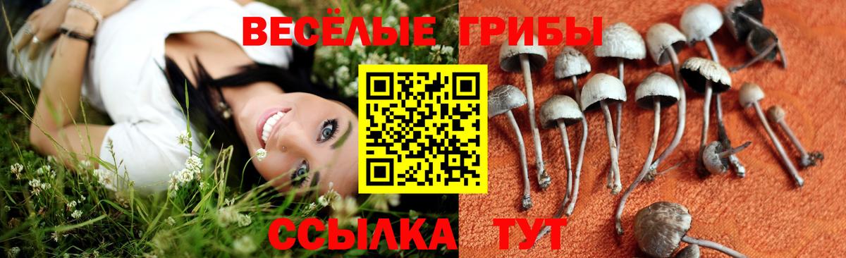 Кириши  Псилоцибиновые грибы ЛСД  Вход с VPN 